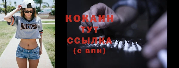 дживик Арсеньев