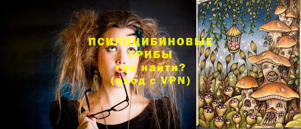 дживик Арсеньев