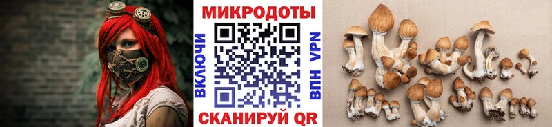 Псилоцибиновые грибы MAGIC MUSHROOMS  Починок 